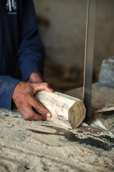 A worker holding a cut olive wood billet against the bandsaw fence, sawdust across the bench