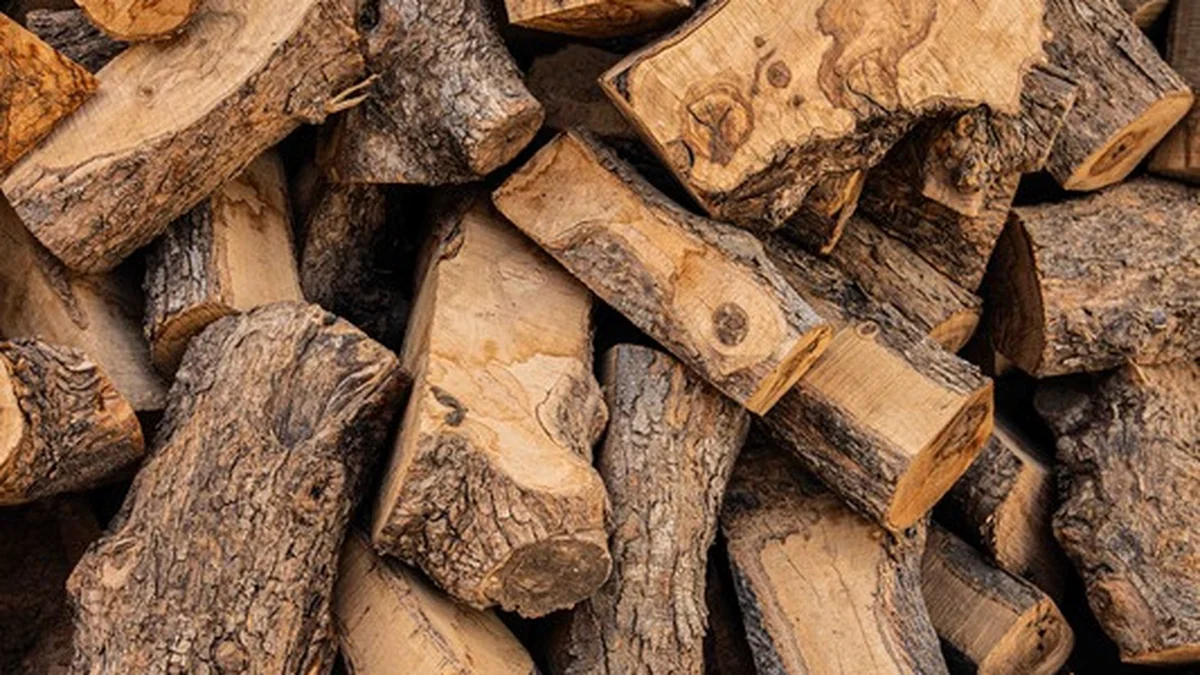 Rondins de bois d’olivier brut empilés prêts pour la production artisanale